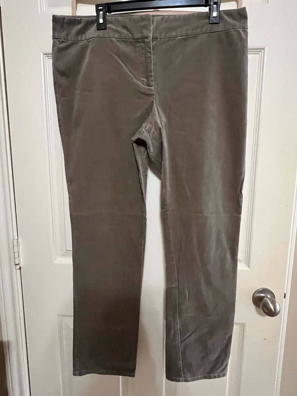 Women’s Stretch Pull-On Jeans in Tan
